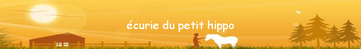 écurie du petit hippo
